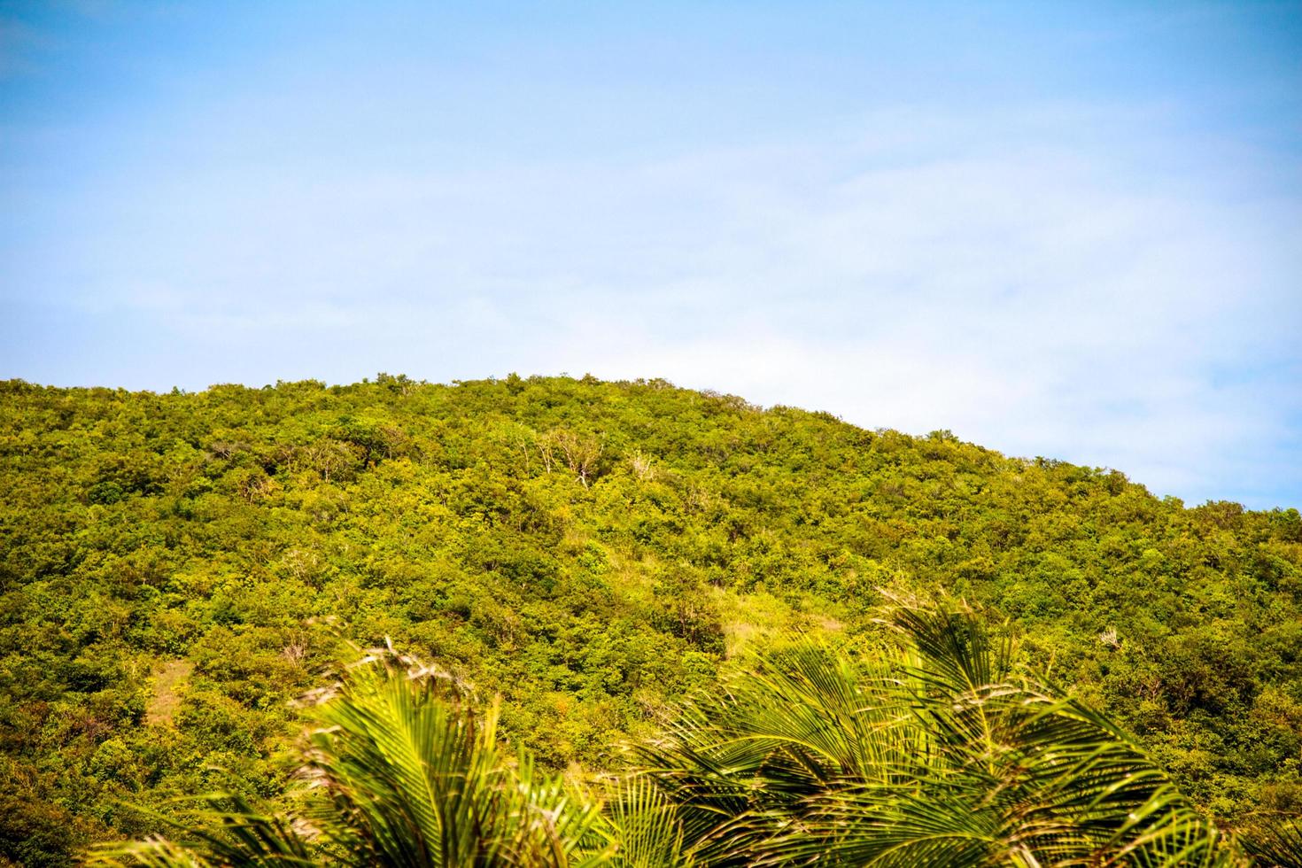 Island in Thailand photo