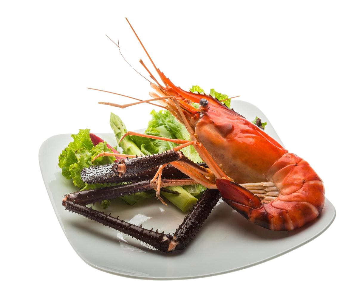 Giant Freshwater Prawn photo