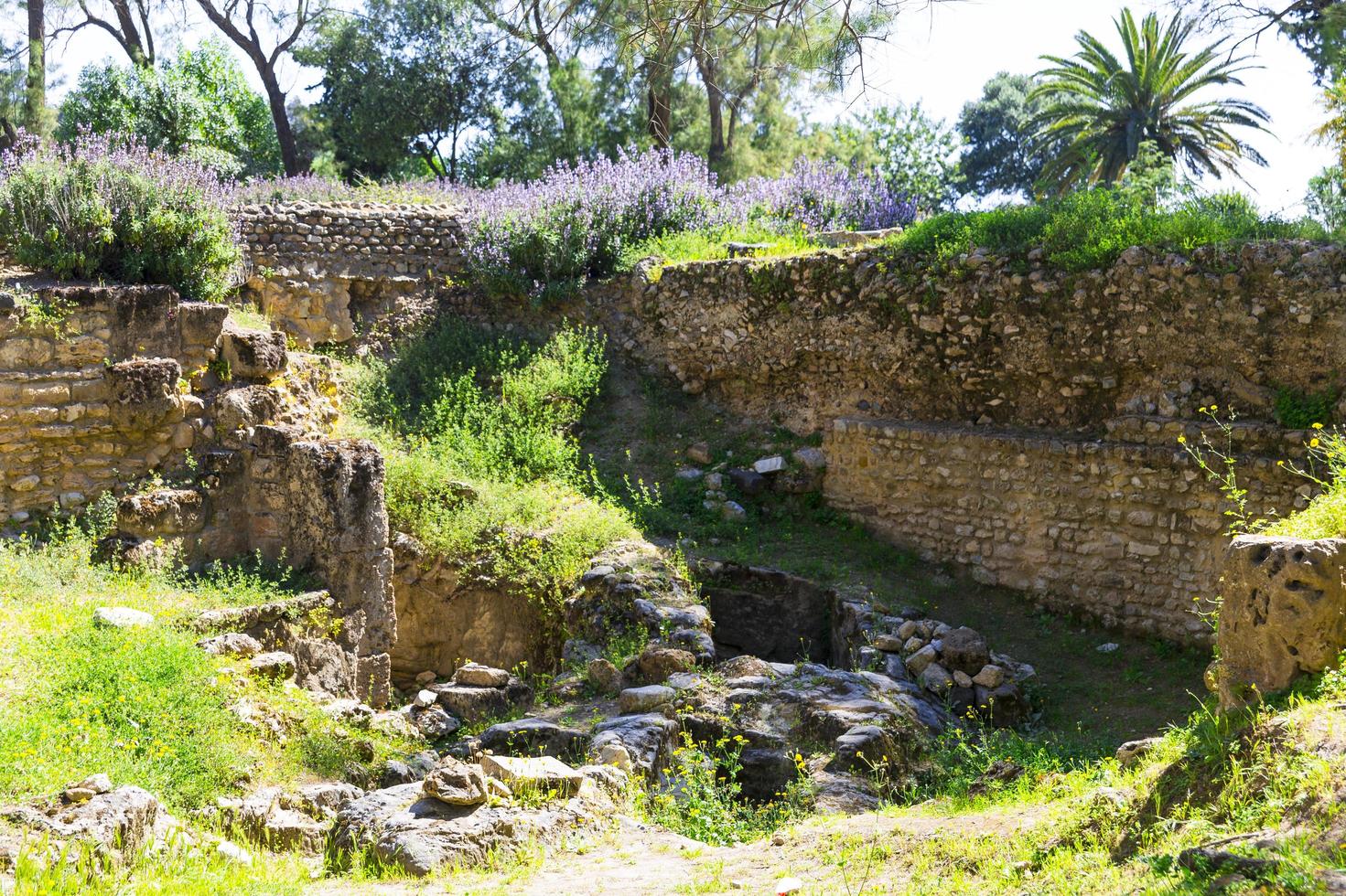 Old Carthage ruins photo