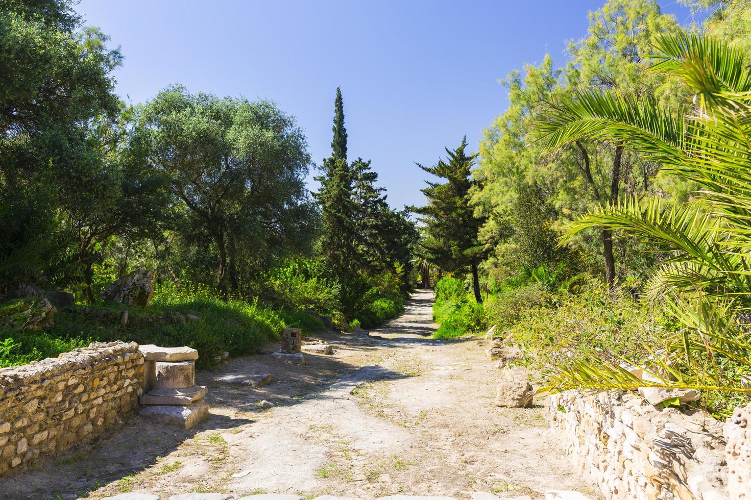 Old Carthage ruins photo