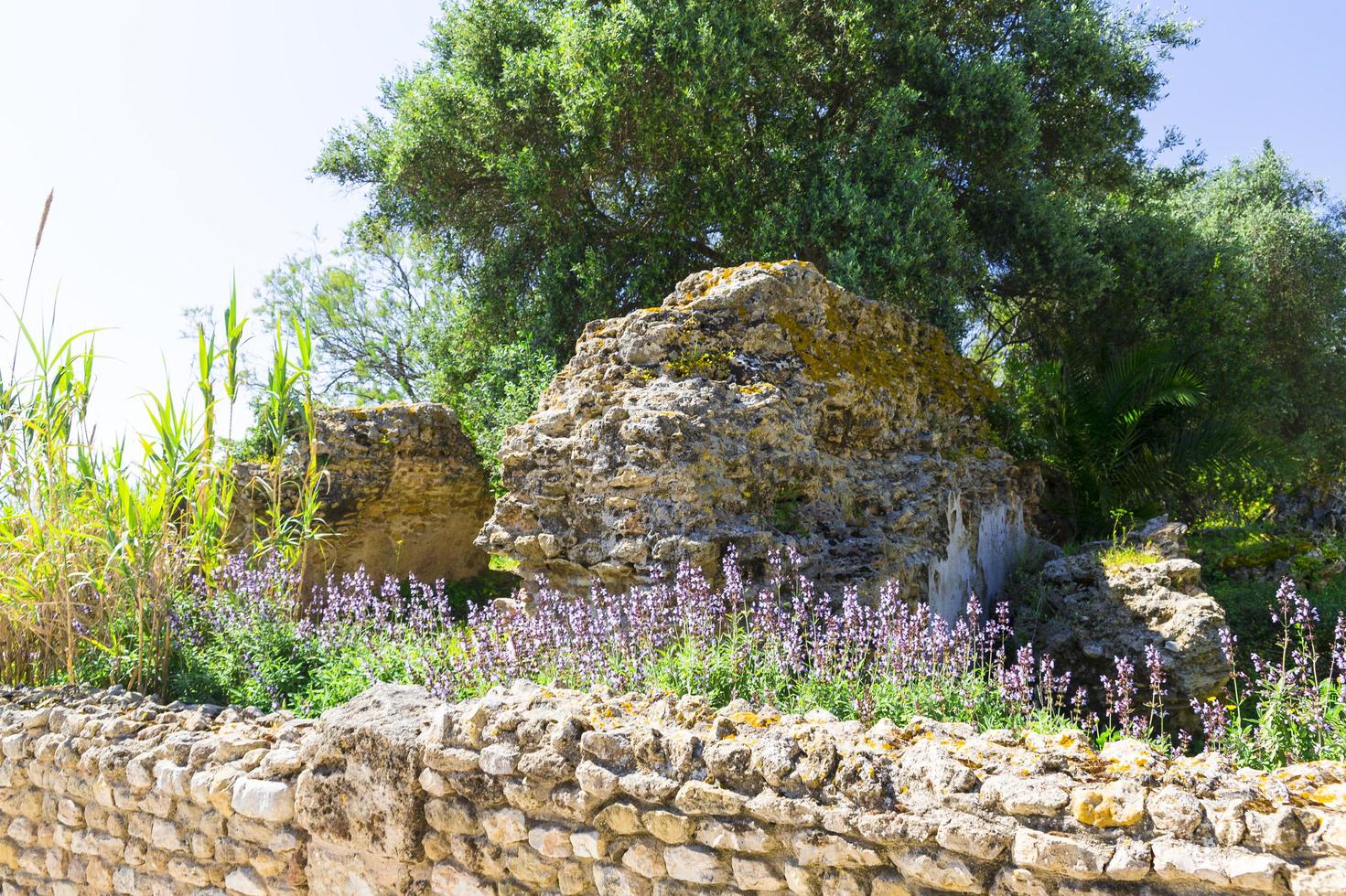 Old Carthage ruins photo