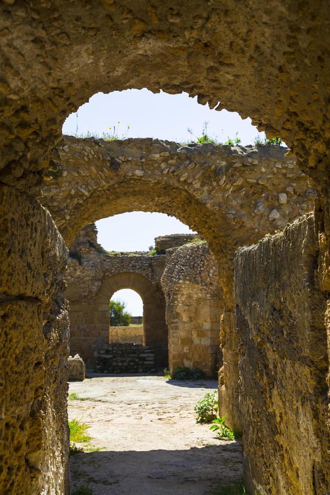 Old Carthage ruins photo