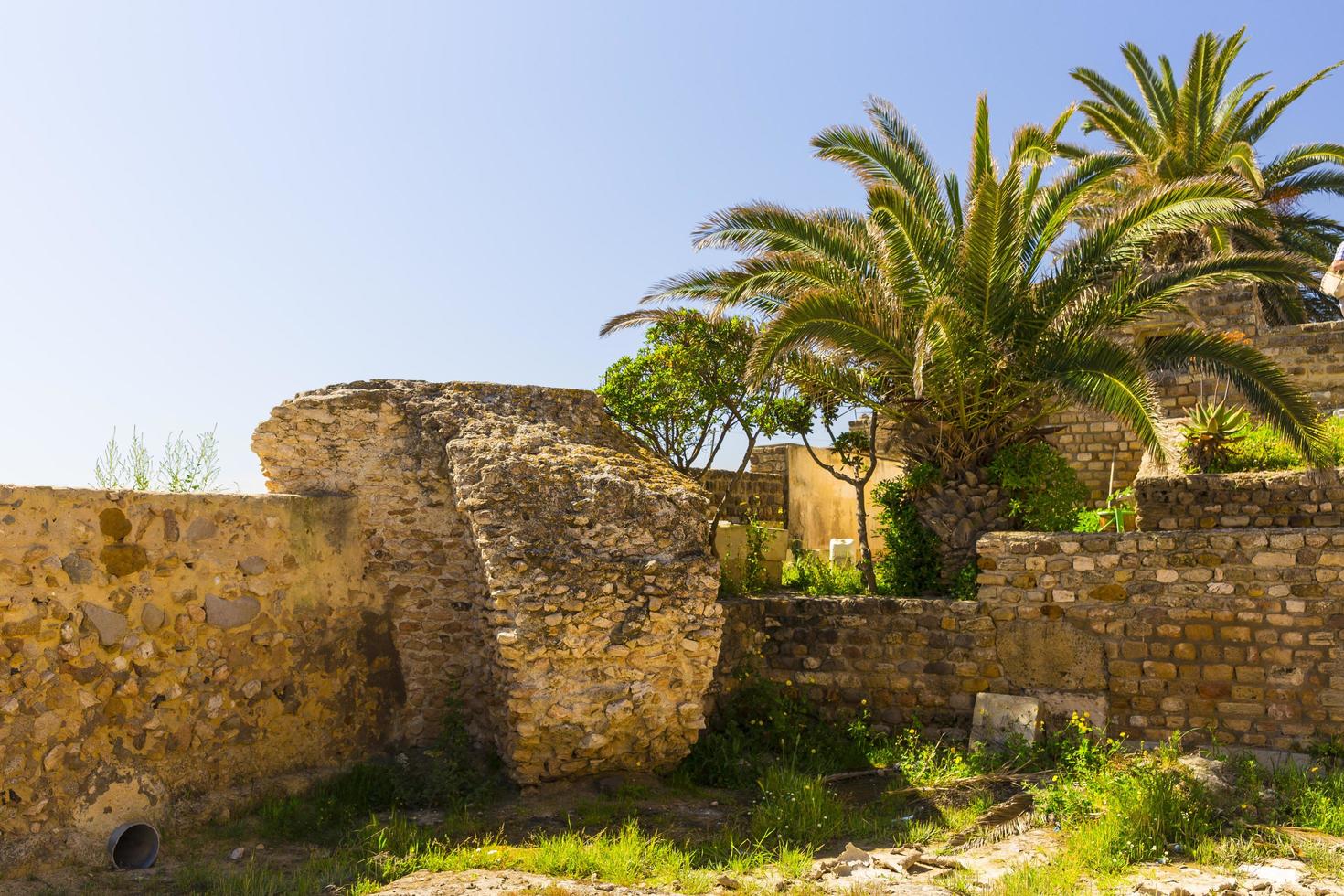 Old Carthage ruins photo