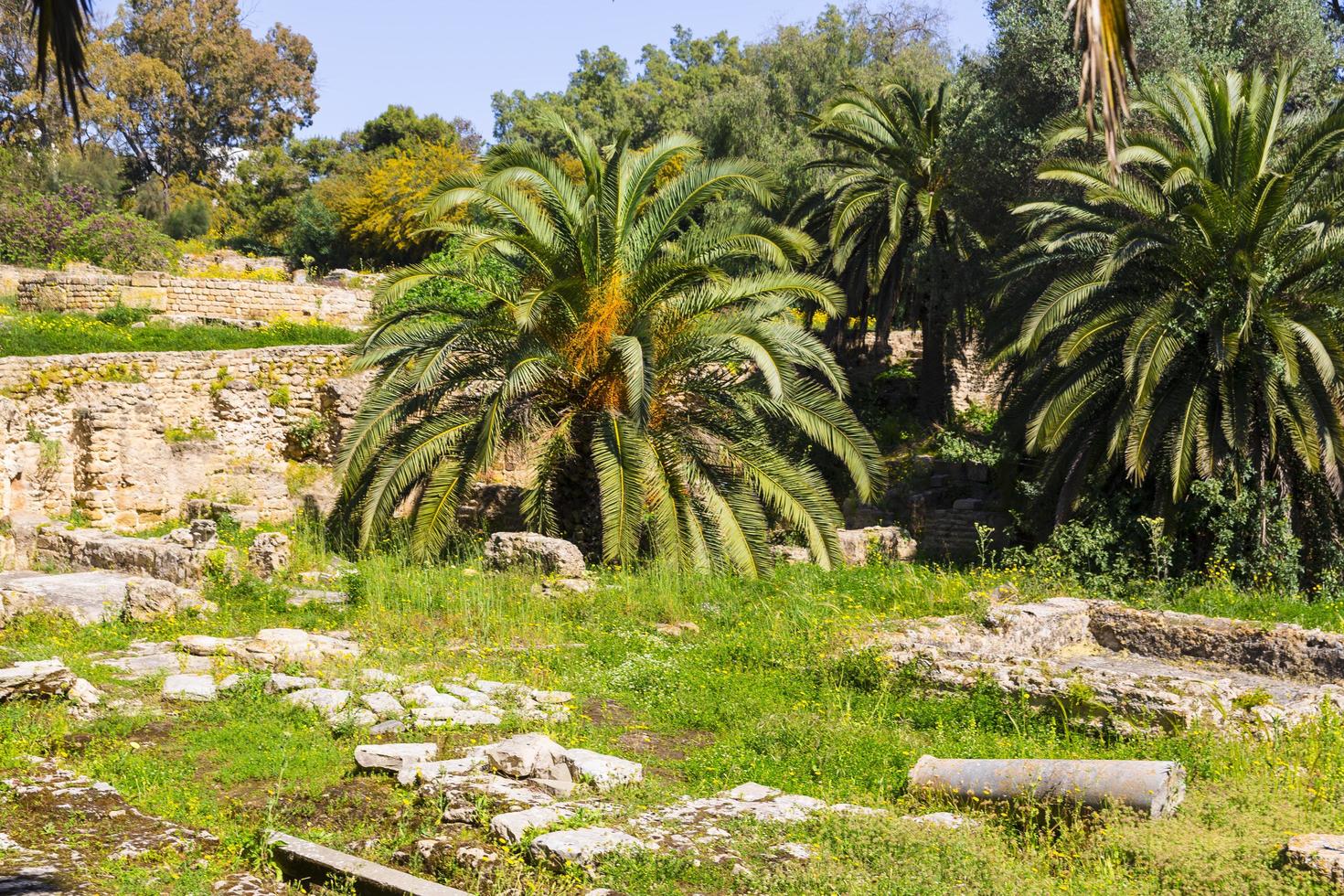 Old Carthage ruins photo