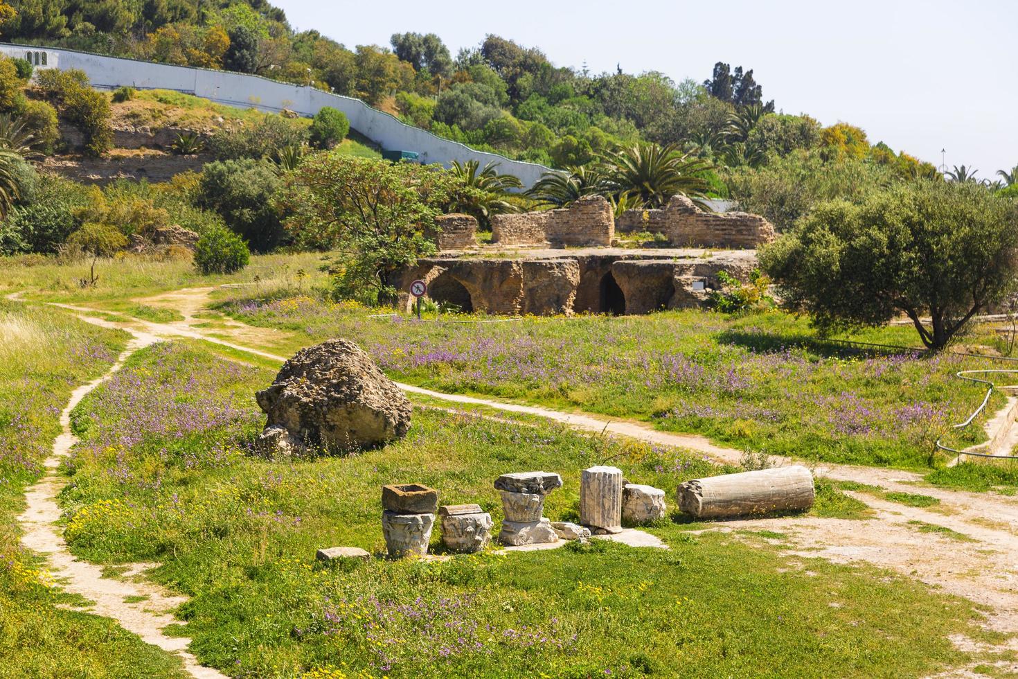 Old Carthage ruins photo