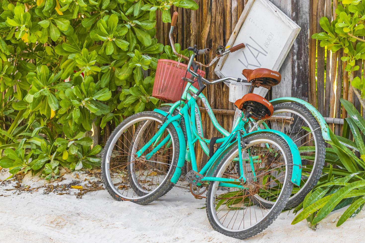 Tulum Quintana Roo Mexico 2022 Turquoise bikes bicycles at caribbean coast and beach Tulum Mexico. photo