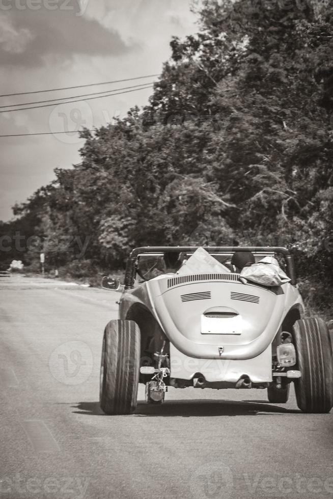 Driving on highway freeway motorway in jungle tropical nature Mexico. photo