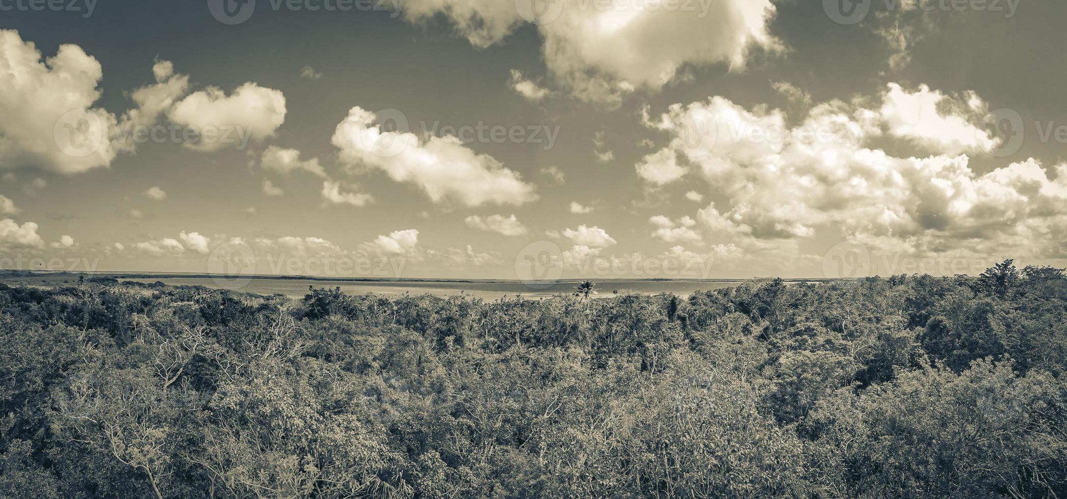 Muyil Lagoon panorama view in tropical jungle Mexico. photo