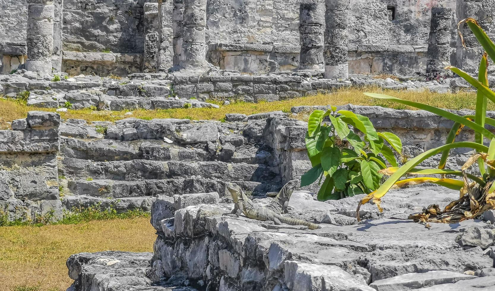 Ancient Tulum ruins Mayan site temple pyramids artifacts seascape Mexico. photo