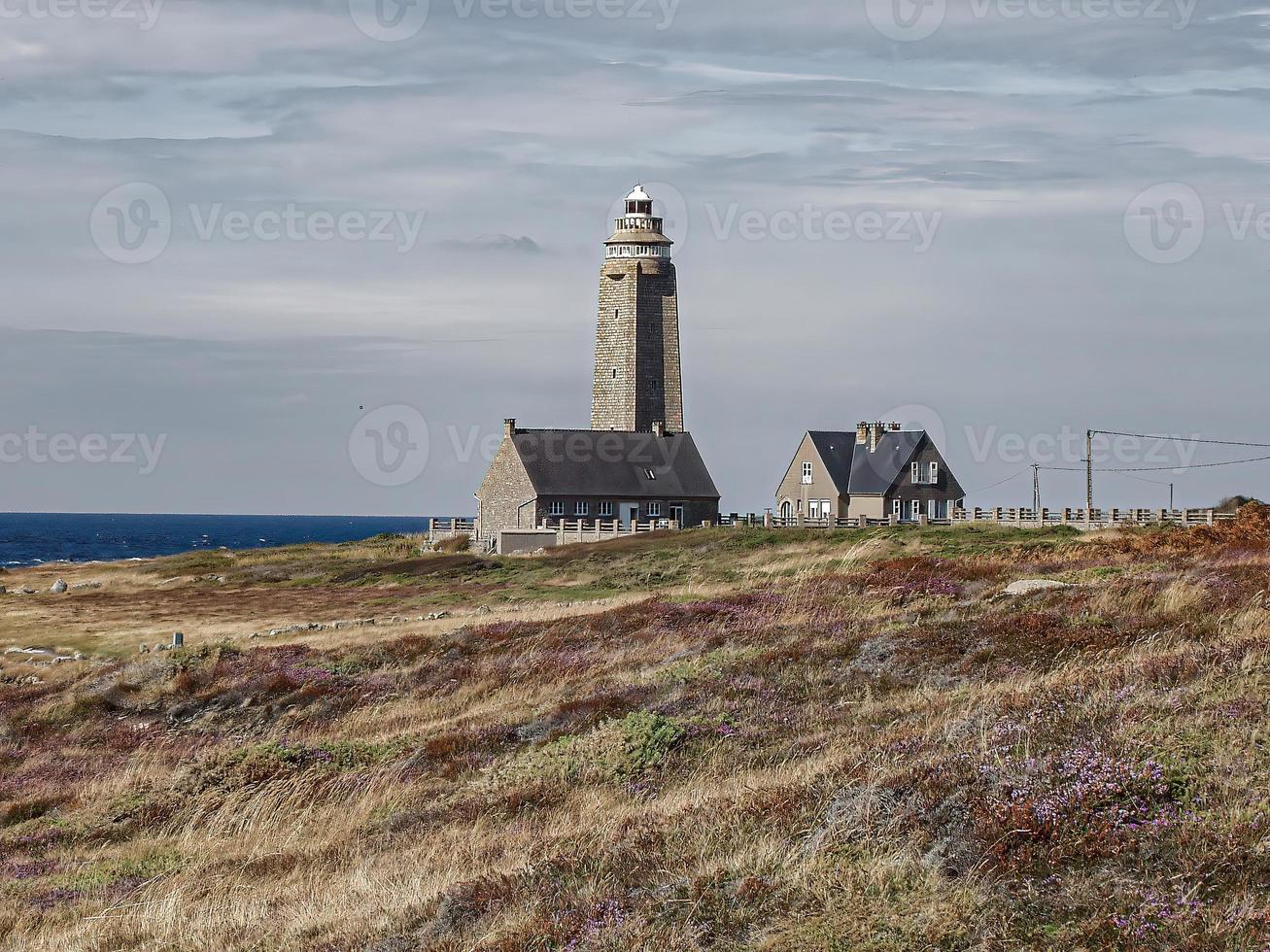 Lighthouse in meadow on coast by sea photo