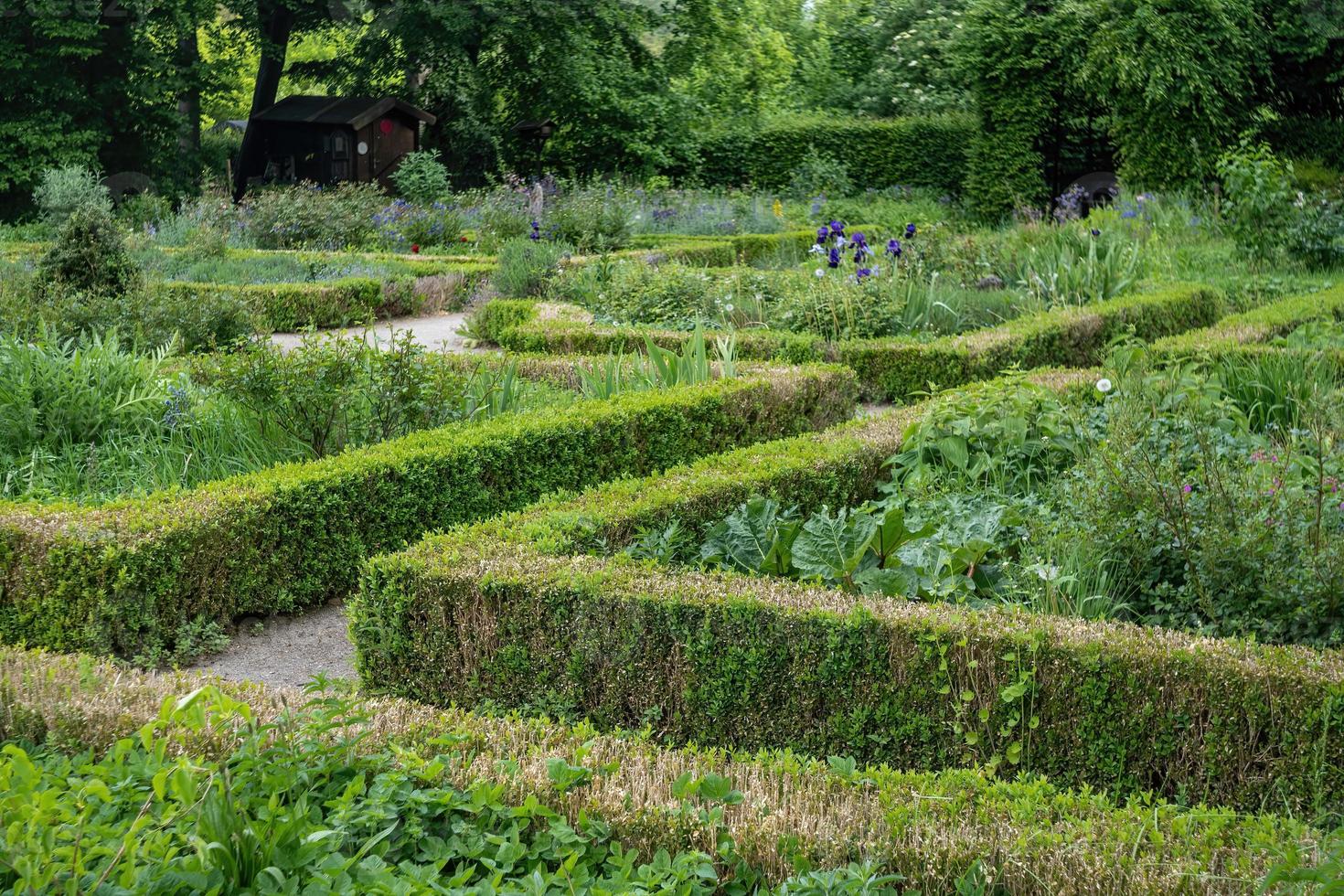 old farm garden in spring photo