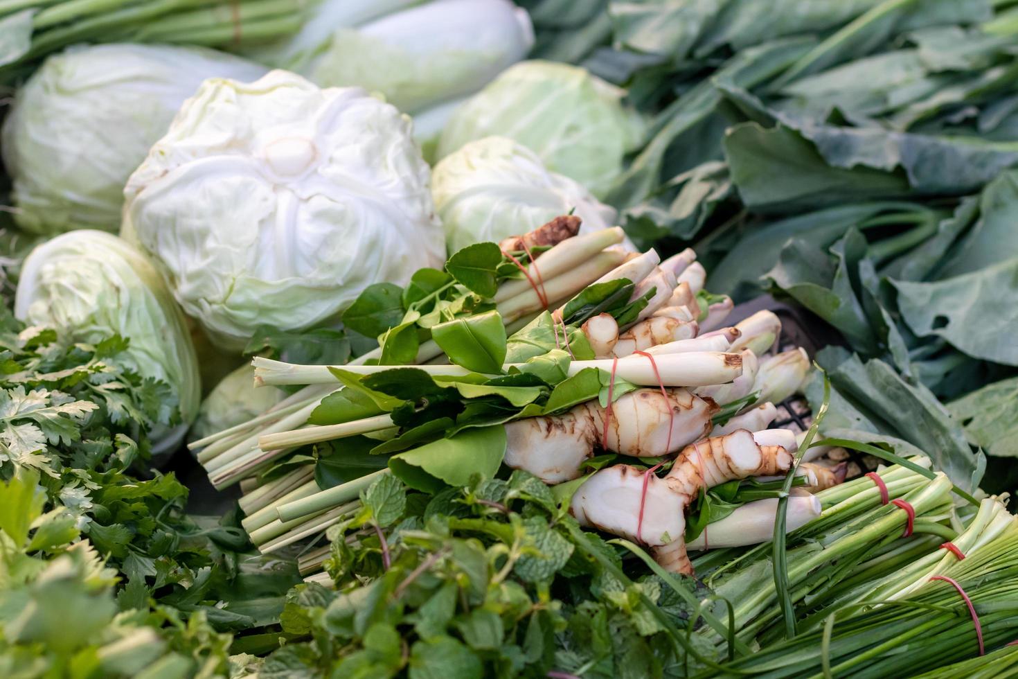 Galangal lemongrass and vegetables. photo