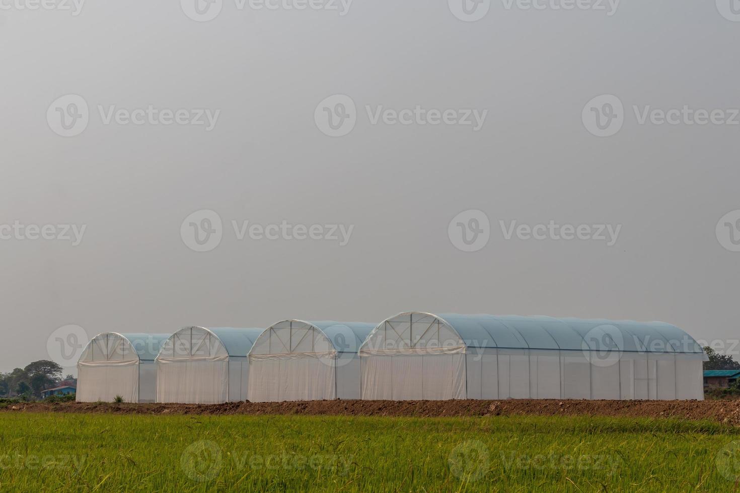Empty white dome waiting for planting. photo