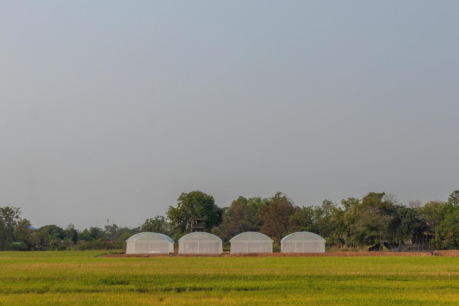Empty white dome waiting for planting. photo