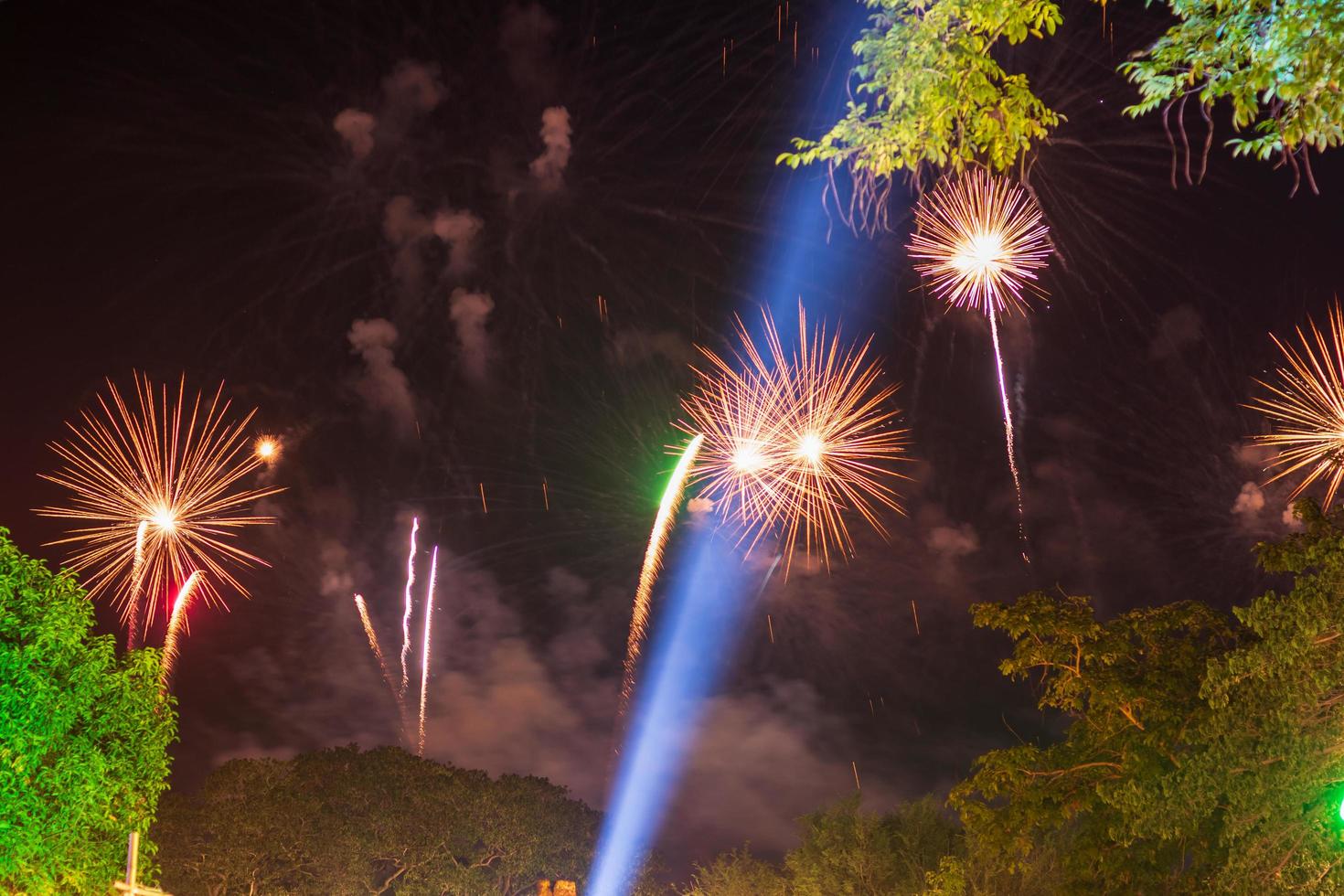 hermosas luces de fuegos artificiales sobre los árboles por la noche. foto