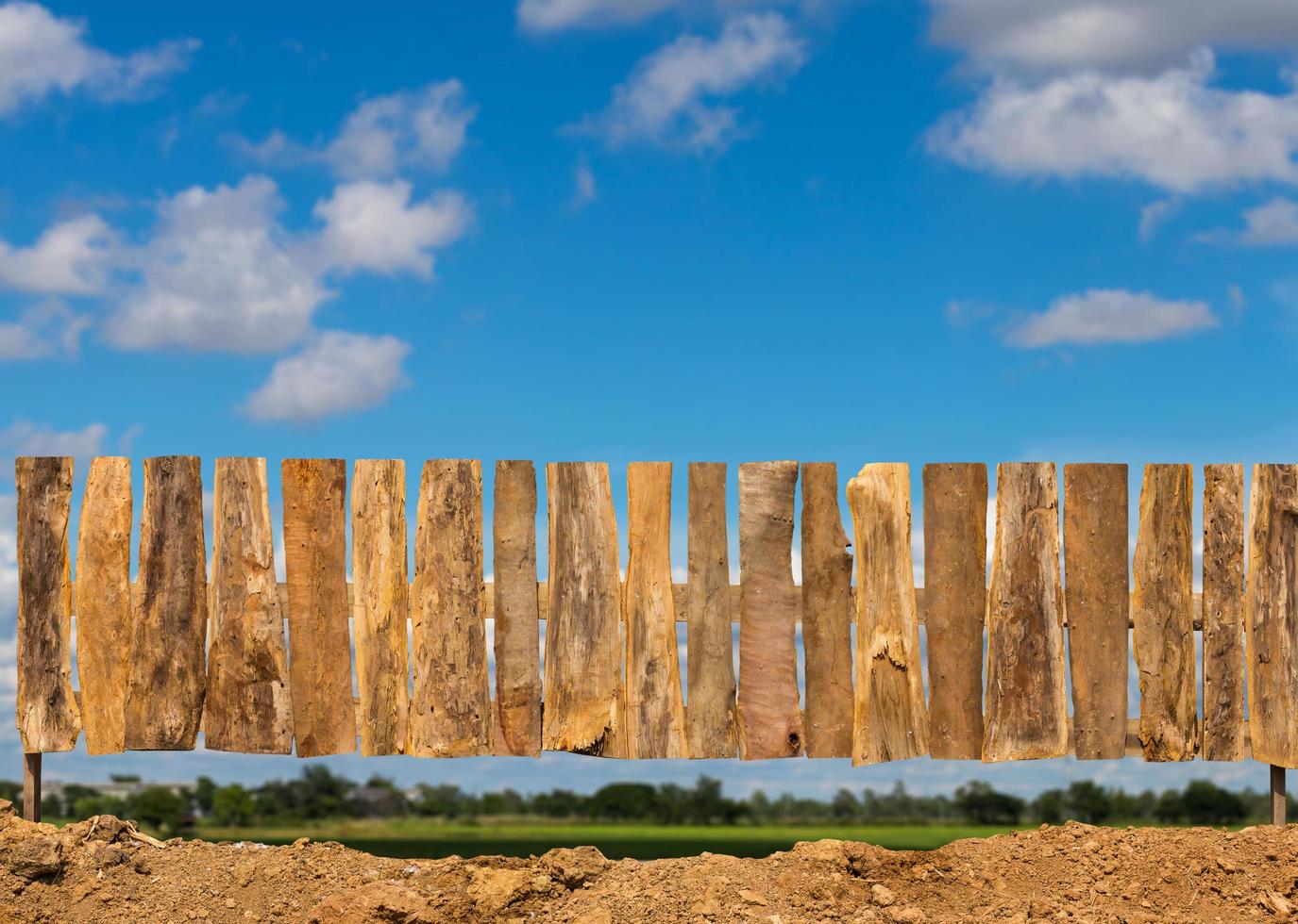 Fence from tree bark to sky clouds. photo