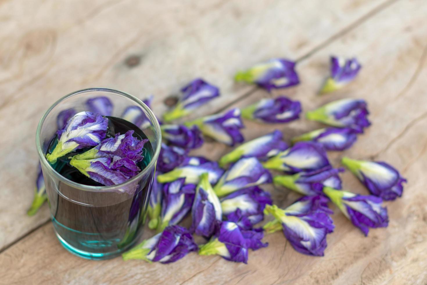 Purple butterfly pea flowers in a glass on a wooden floor. photo