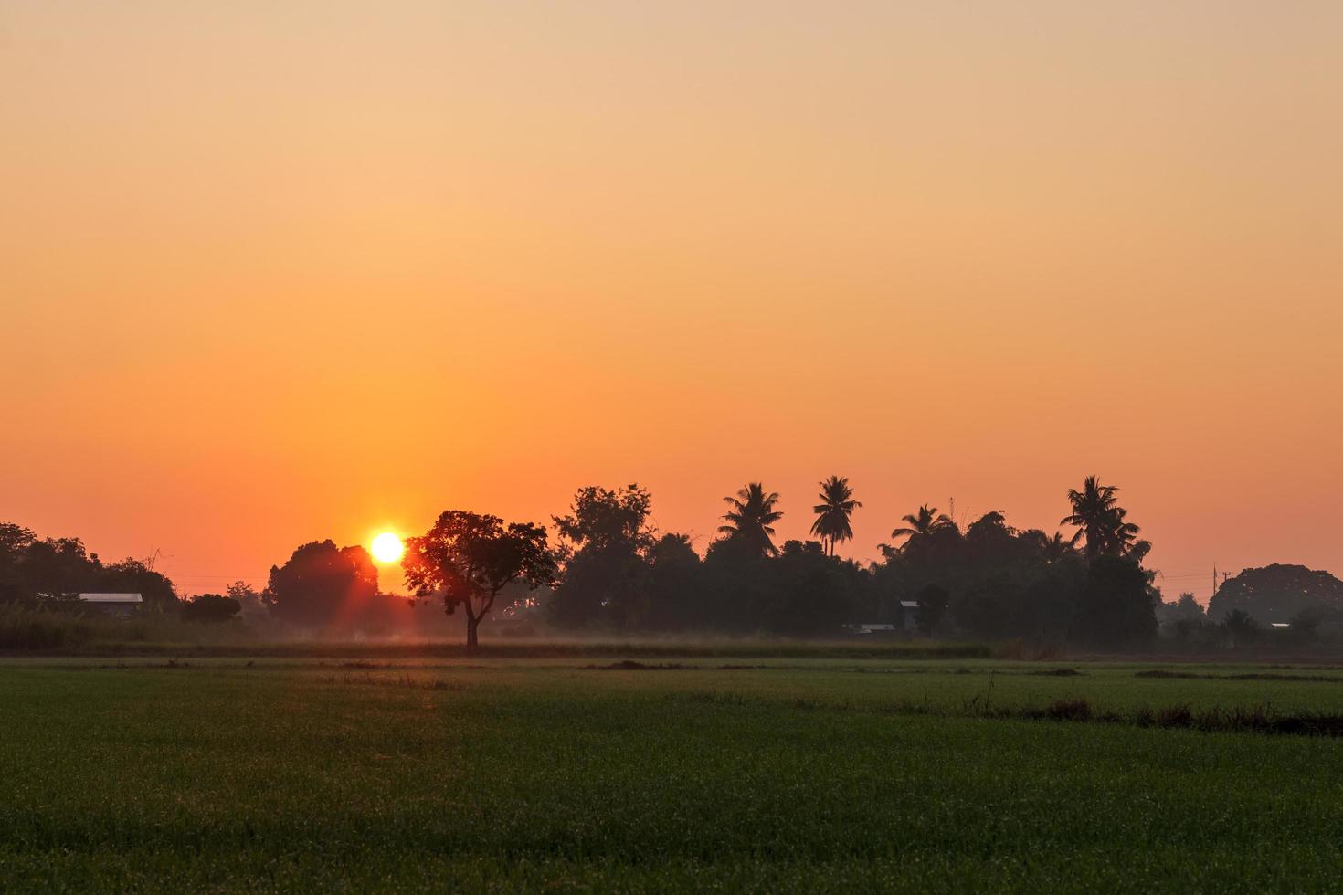 The morning sun rises in the Thai countryside. photo