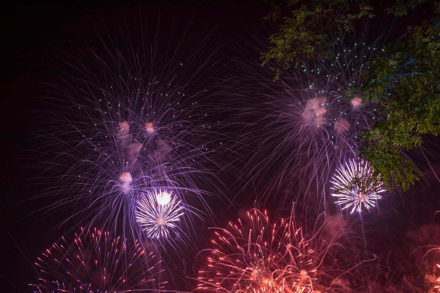 hermosas luces de fuegos artificiales sobre los árboles por la noche. foto