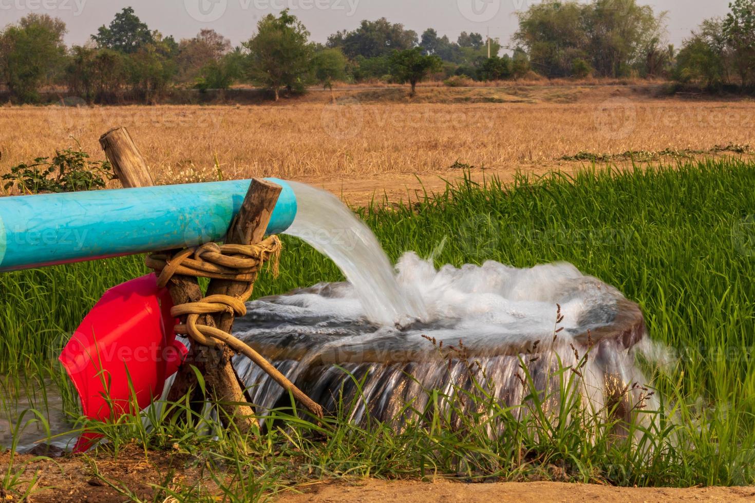 Water flows from pipes into a basin in rice fields near arid soil. photo