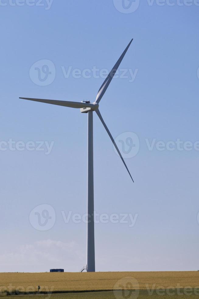 Wind turbine in a field photo