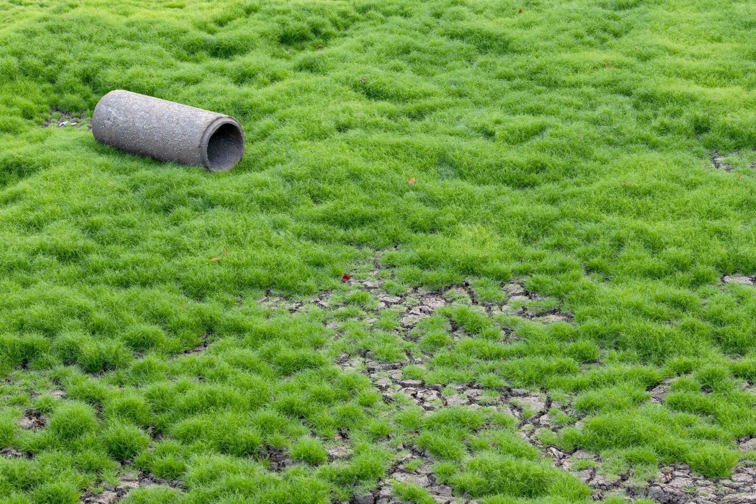 An old concrete pipe on a cracked ground with grass. photo