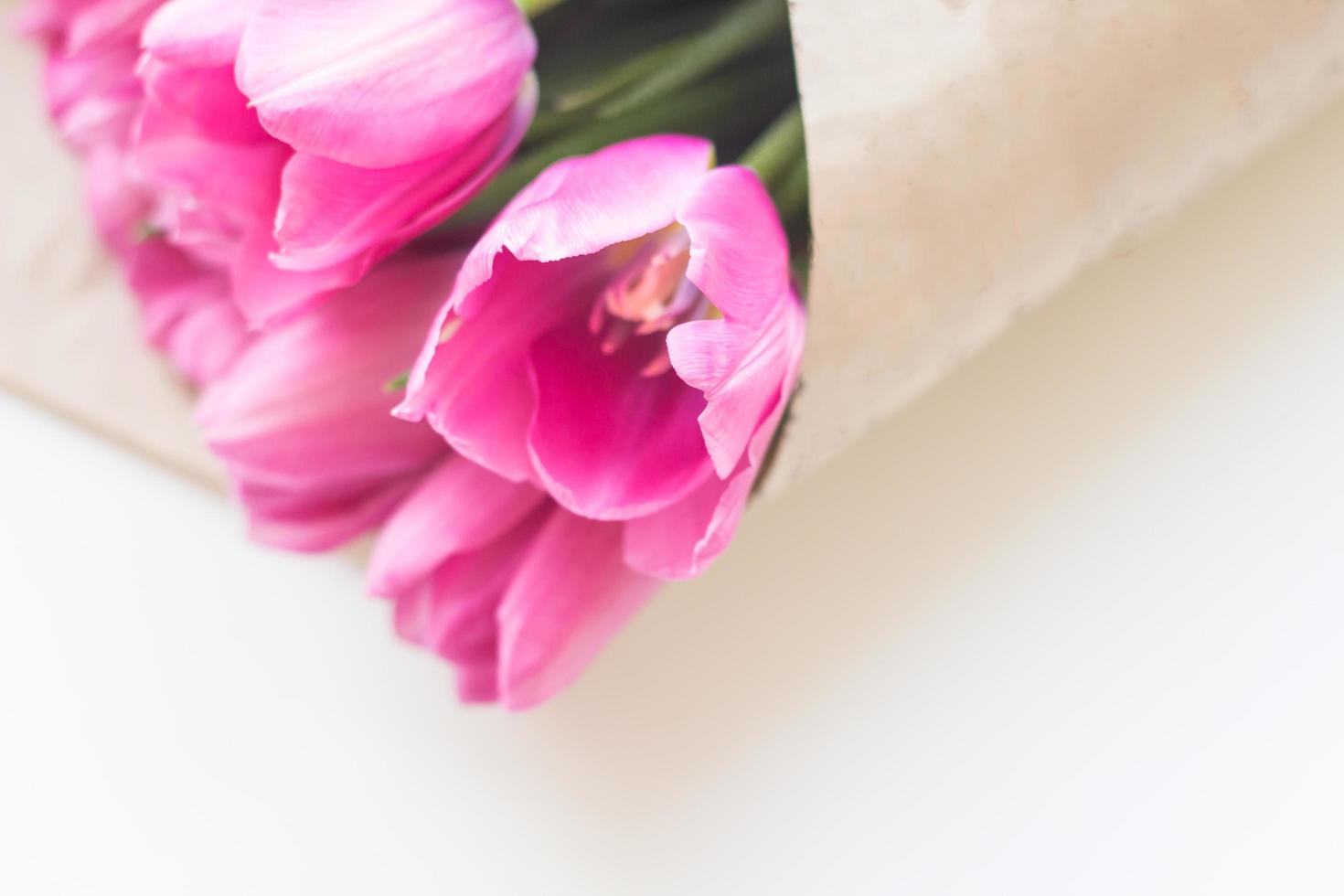 close up picture of fresh pink and purple tulips on table photo