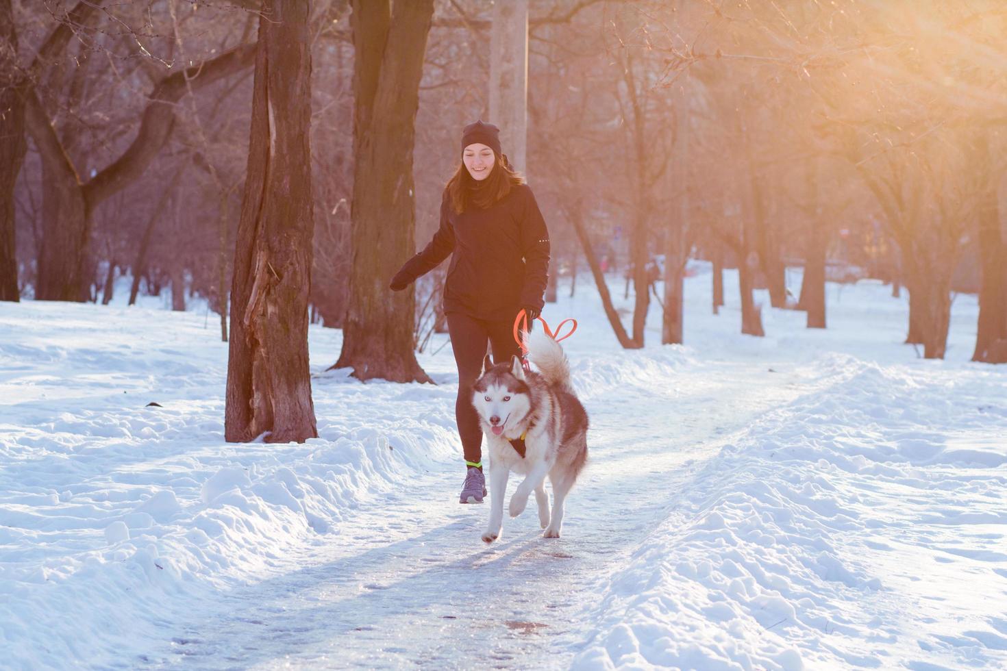 young woman runner training in winter park with husky dog photo