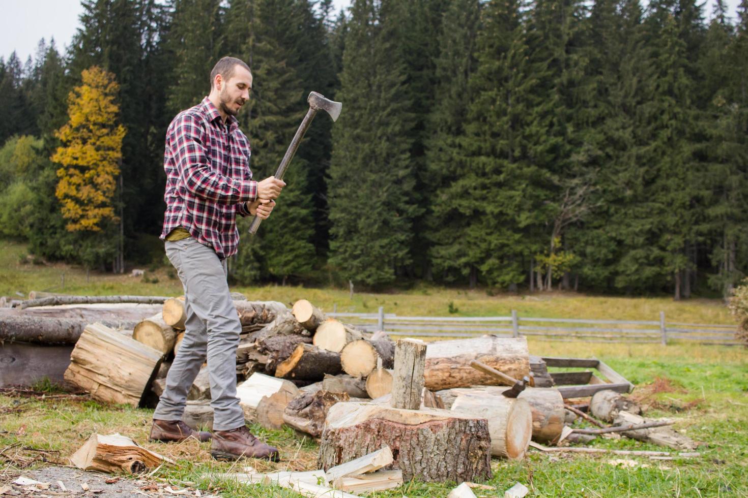 yong male in forest choping wood with steel axe, country landscape with lumberjack photo