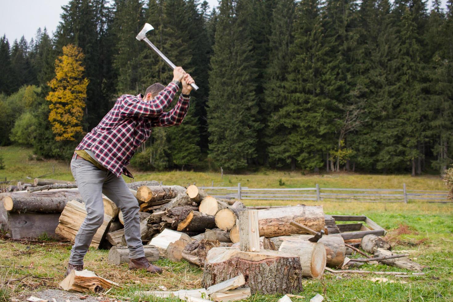 yong male in forest choping wood with steel axe, country landscape with lumberjack photo