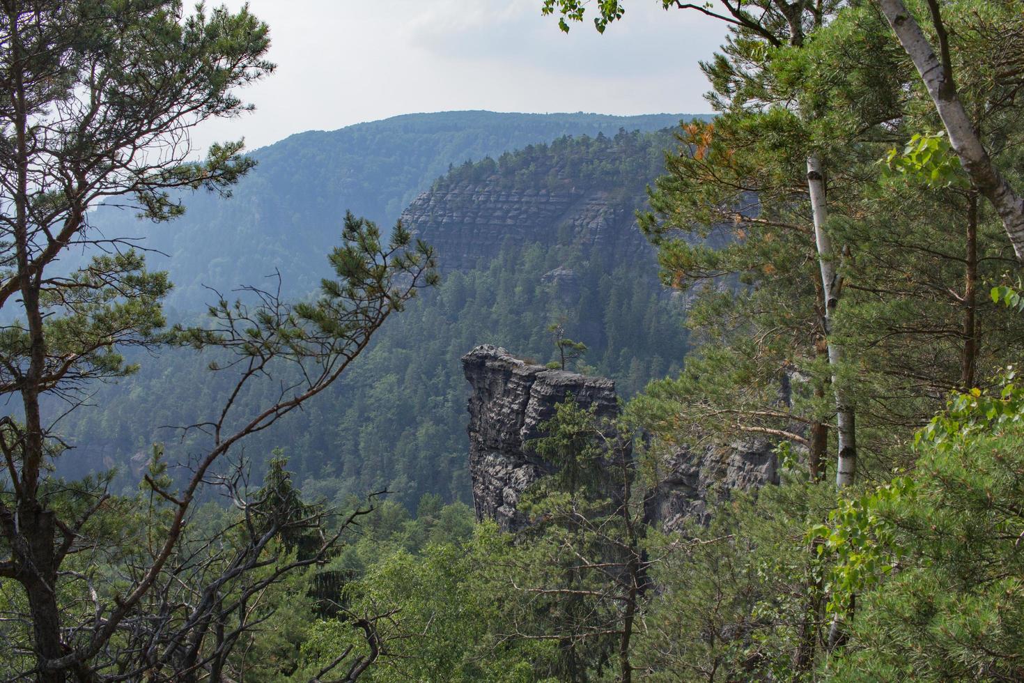 Landscape in mountains in Czech Switzerland national park, pine forest and rocks photo