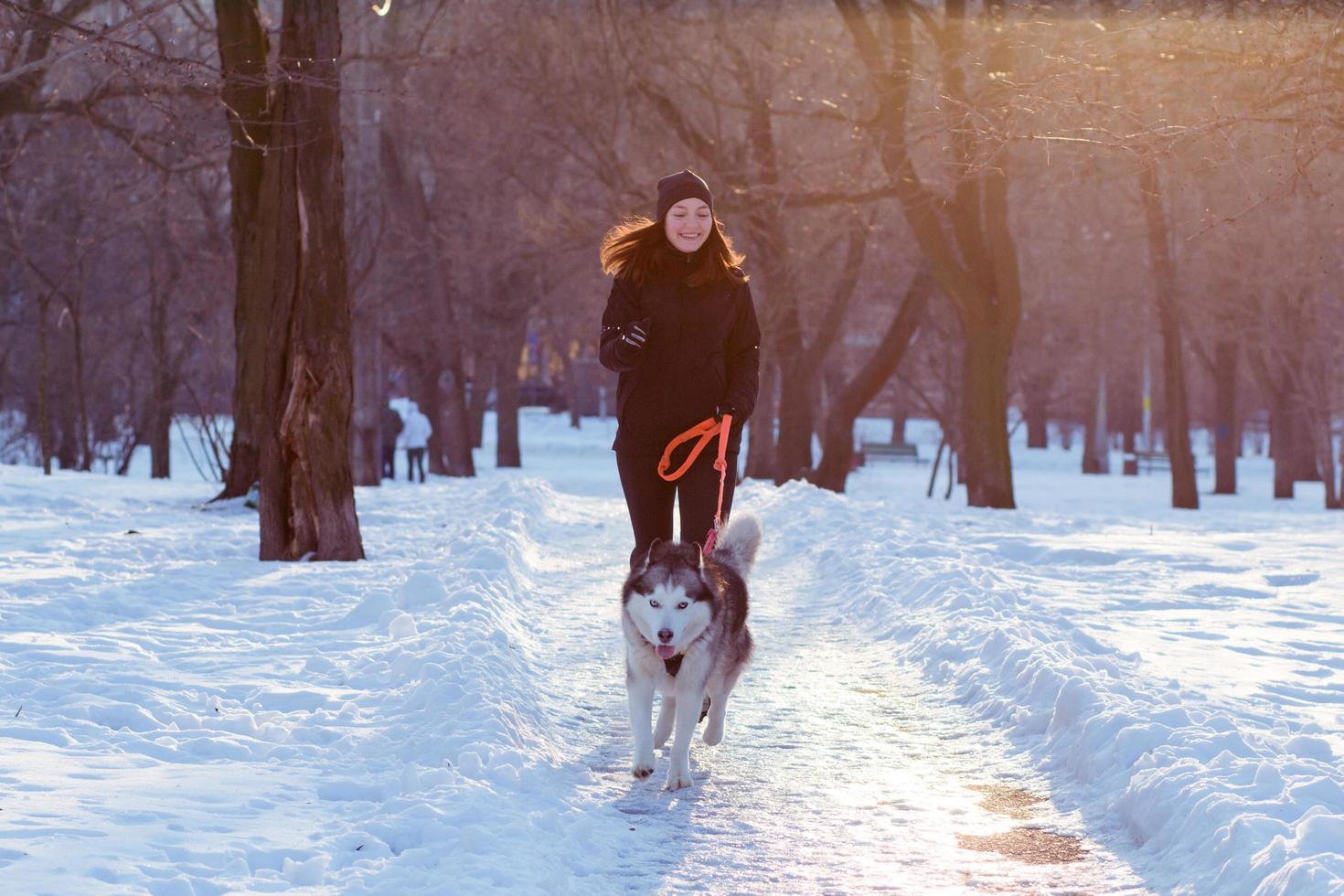 joven corredora entrenando en el parque de invierno con perro husky foto