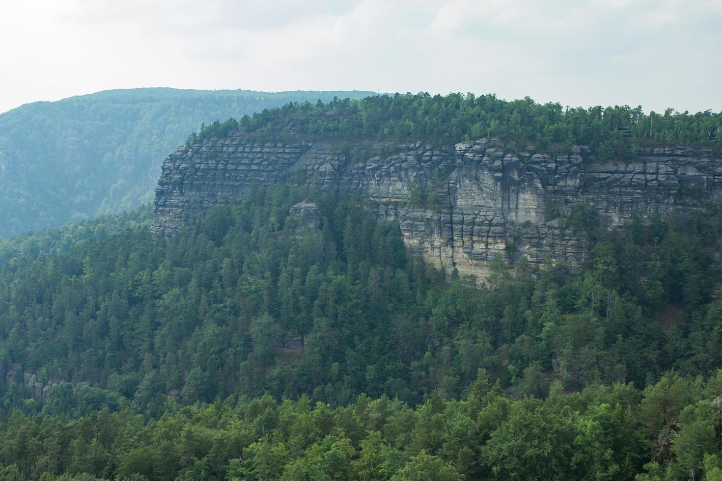 Landscape in mountains in Czech Switzerland national park, pine forest and rocks photo