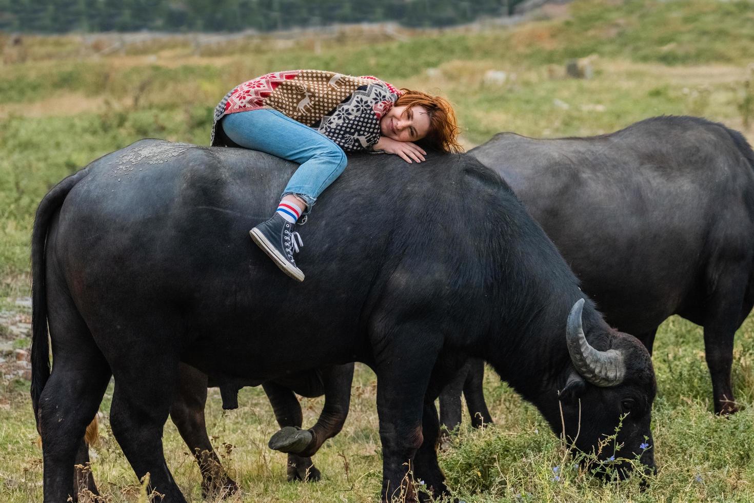 mujer joven vestida con un poncho paseo en búfalo de agua grande foto