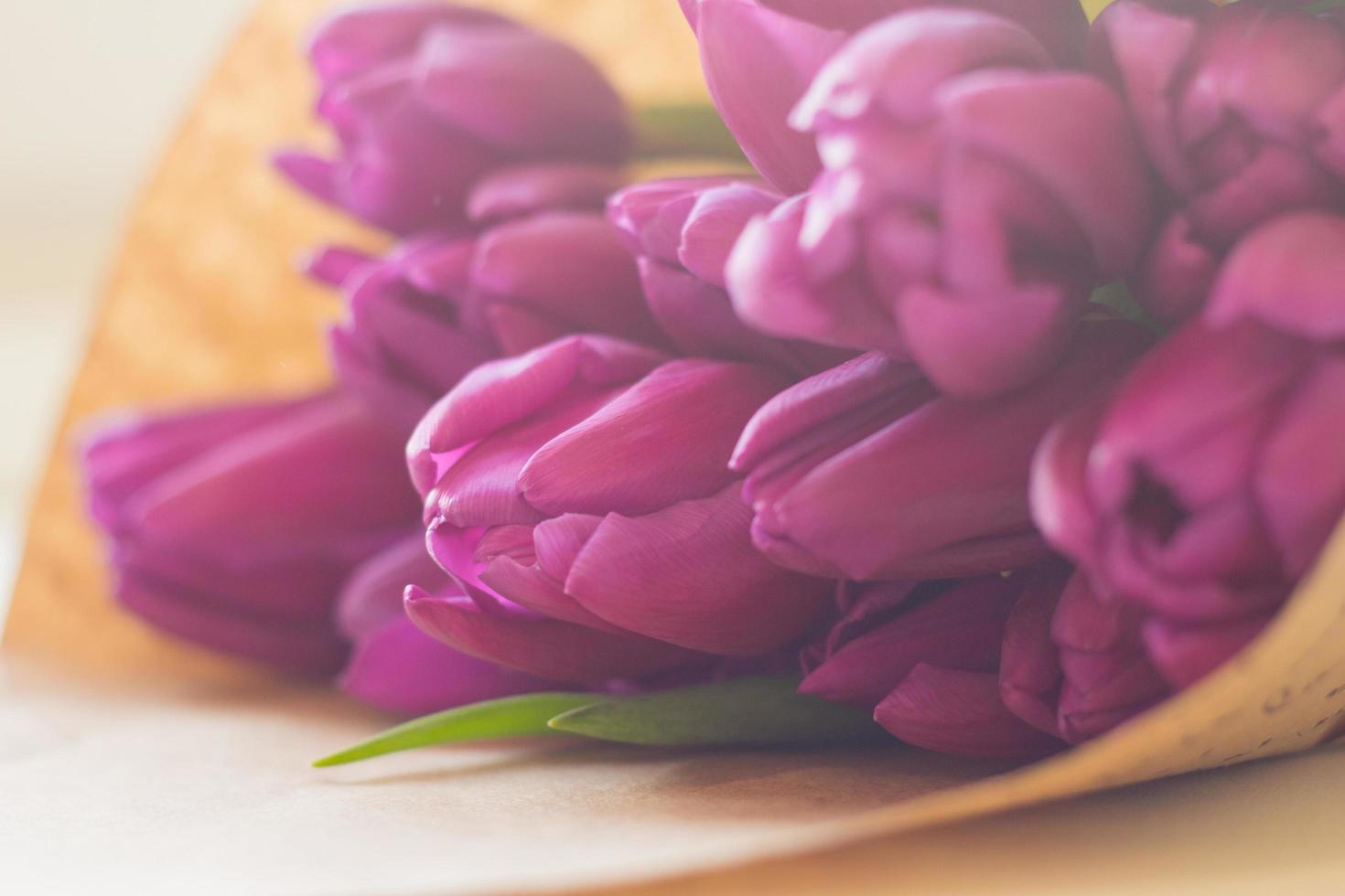 close up picture of fresh pink and purple tulips on table photo