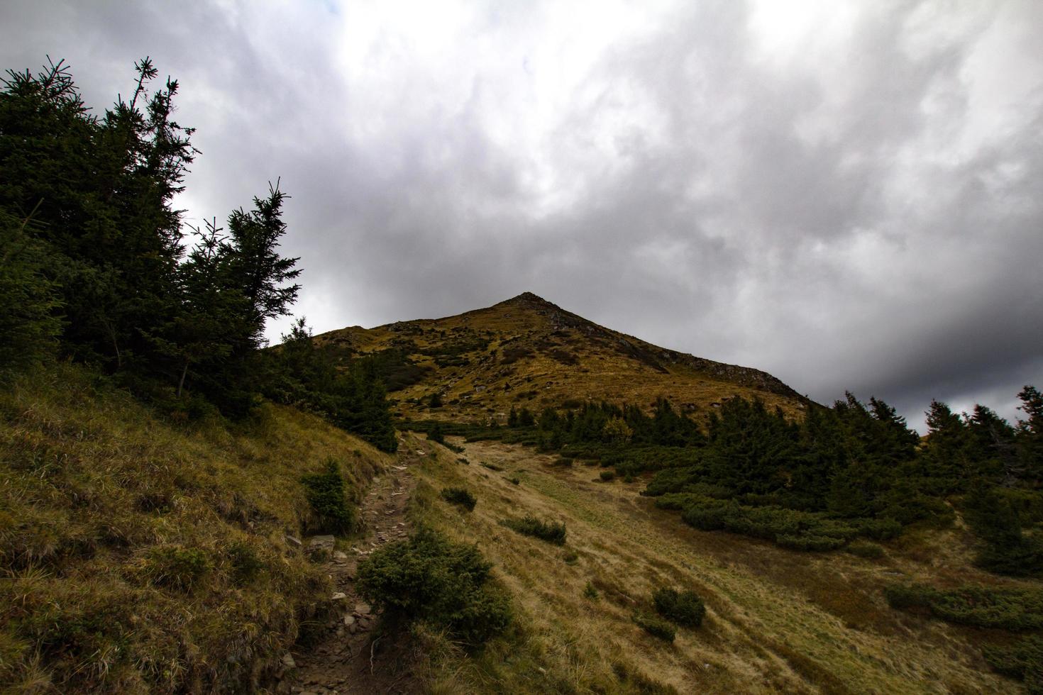 Landscape with autumn mountines and forest photo