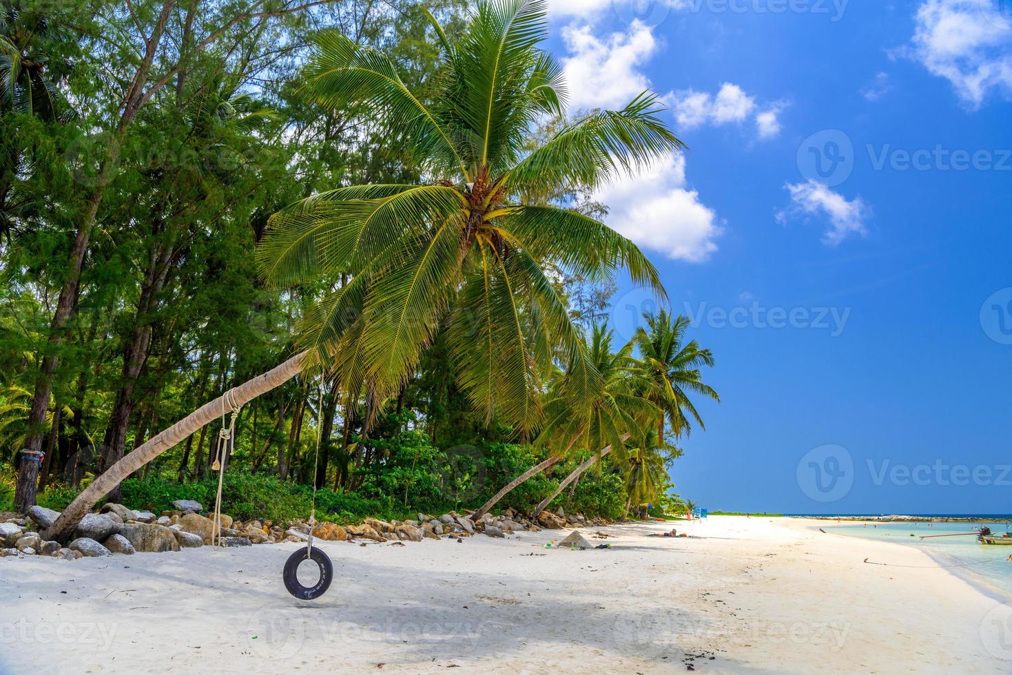 palma de coco con neumático oscilante, playa de malibu, isla de koh phangan foto