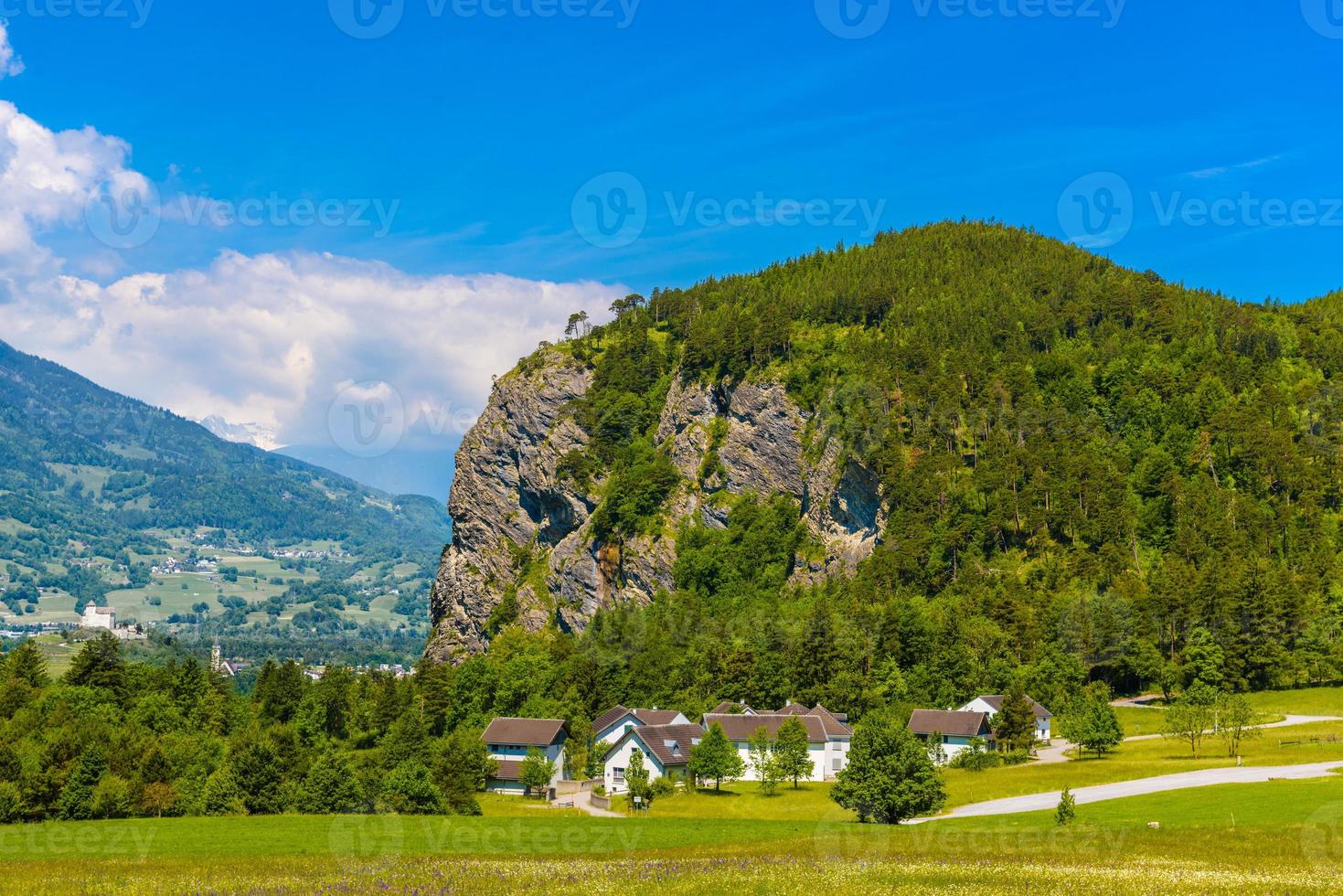 Hills mountains with forest in Alps, Vaduz, Oberland, Liechtenst photo