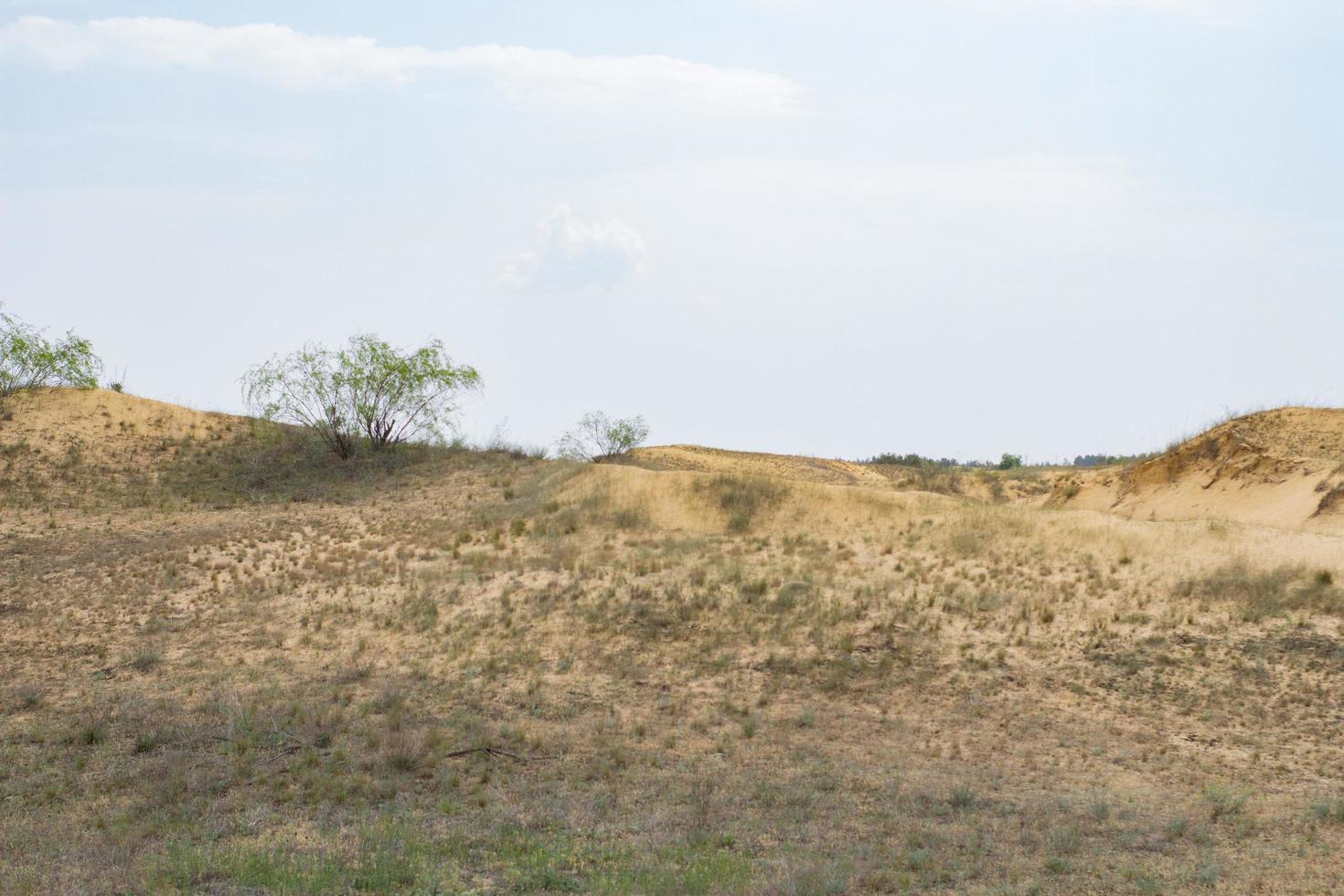 landscape in oleshky sands, desert in Ukraine photo