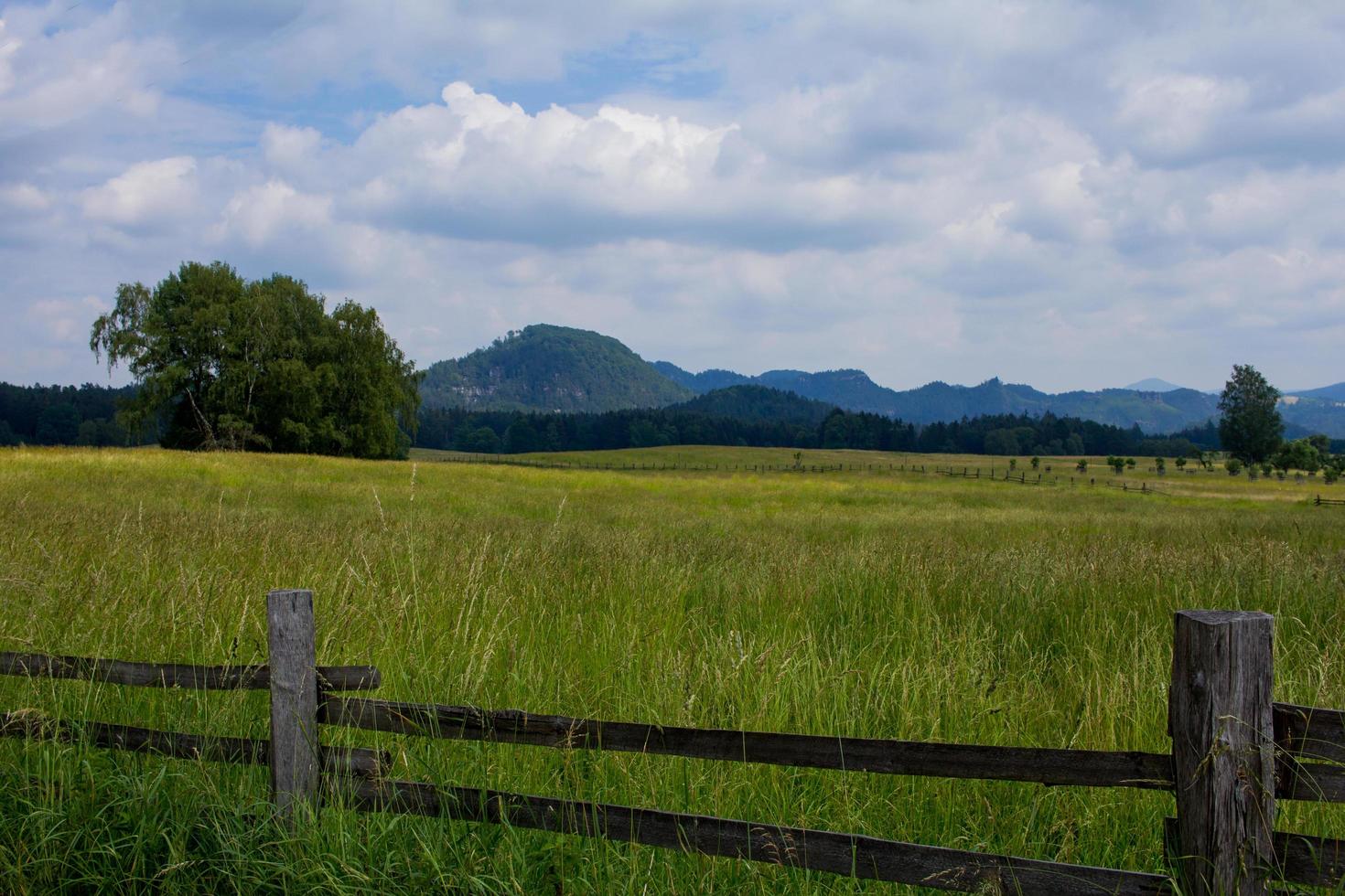 Landscape in mountains in Czech Switzerland national park, pine forest and rocks photo