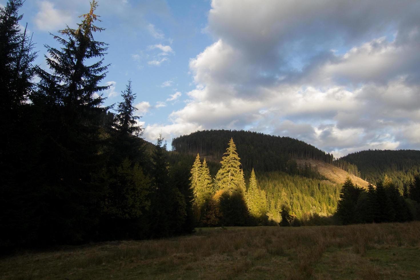 Landscape with autumn mountines and forest photo