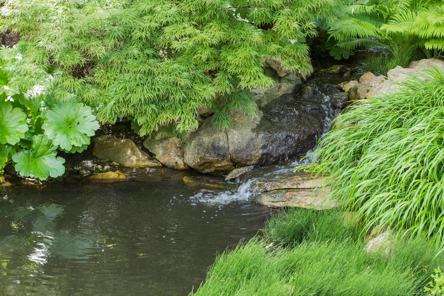 Traditional japanese garden details photo