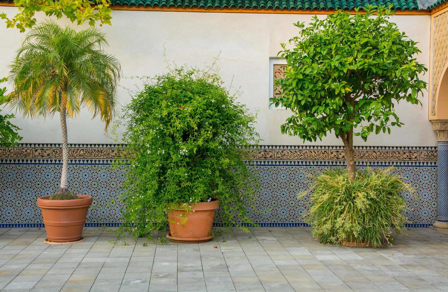 Oriental style park with plants and part of turkish architecture photo