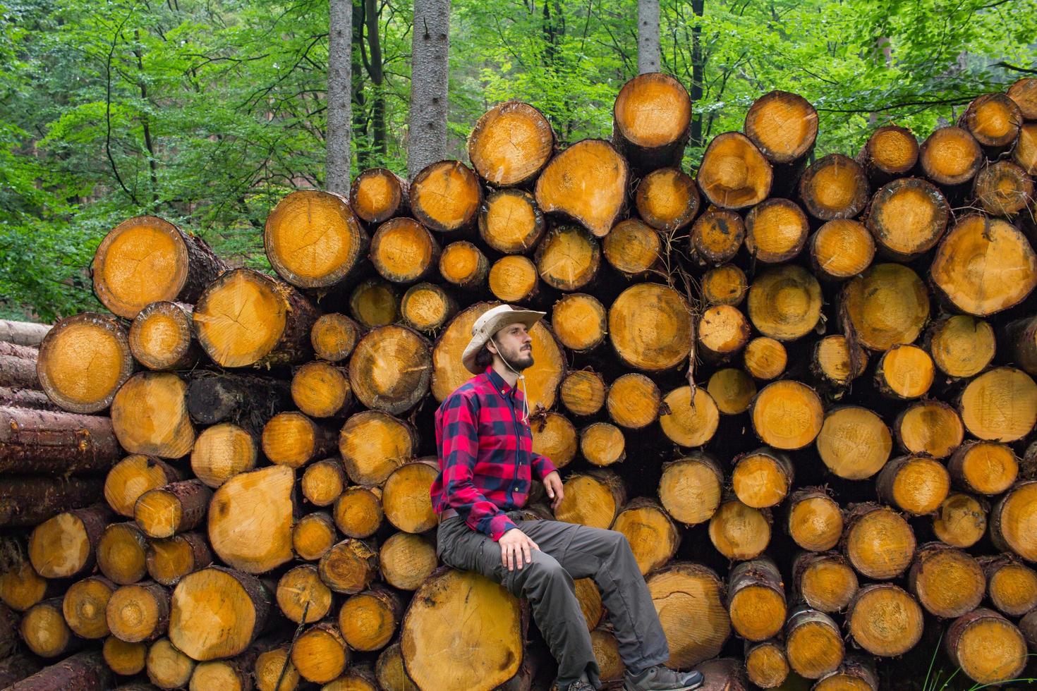 Portrait of lumberjack in forest, many big logs of pine on background. Young male hiker posing near the sawmeal in the pines forest. photo