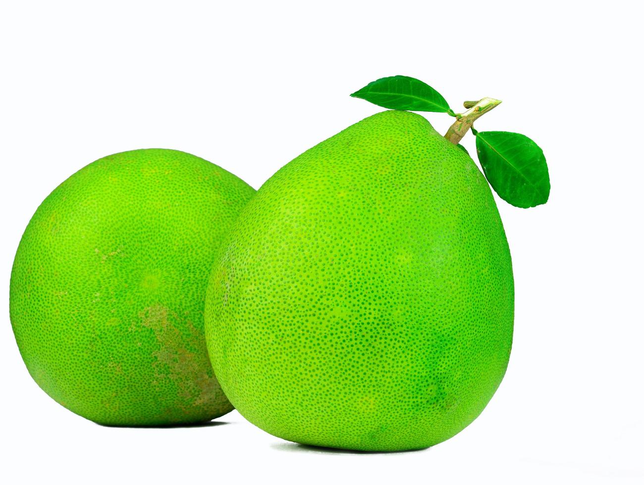 dos pomelo con hojas aisladas sobre fondo blanco. fruta tropical. Fuente natural de vitamina C y potasio. alimentos saludables para retrasar el envejecimiento. interacciones entre alimentos y medicamentos. Fruta cítrica. fruta verde foto