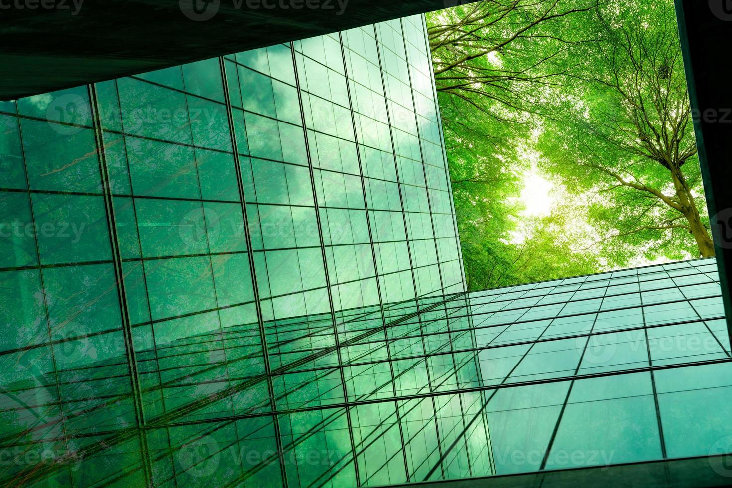 Eco-friendly building in the modern city. Green tree branches with leaves and sustainable glass building for reducing heat and carbon dioxide. Office building with green environment. Go green concept. photo