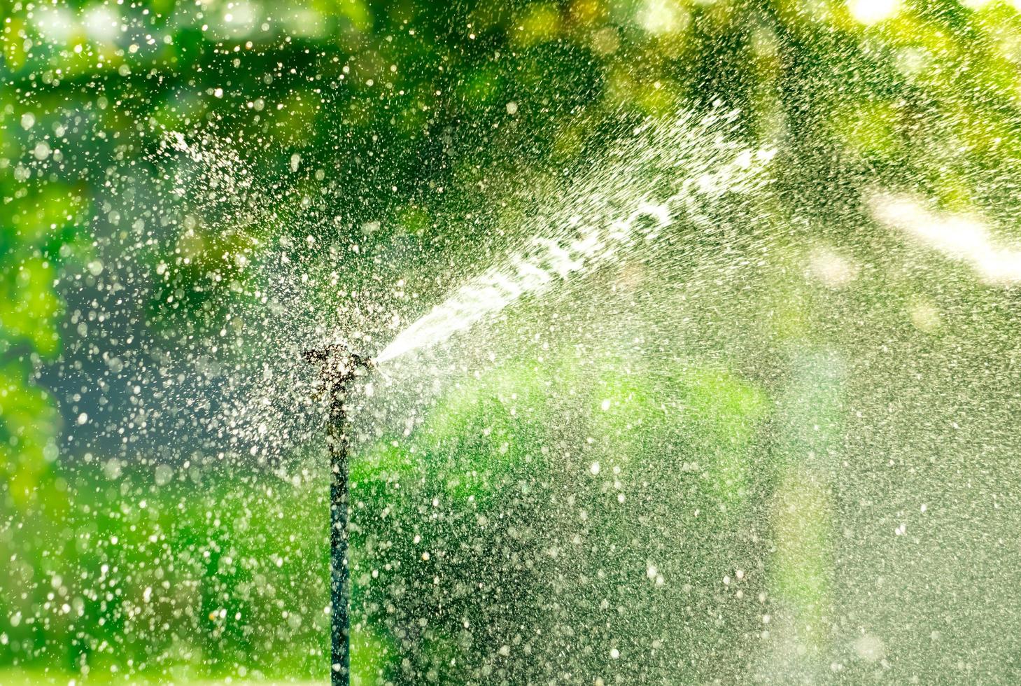 aspersor automático de césped que riega la hierba verde. aspersor con sistema automático. jardín riego sistema riego césped. ahorro de agua o conservación de agua del sistema de rociadores con cabeza ajustable. foto