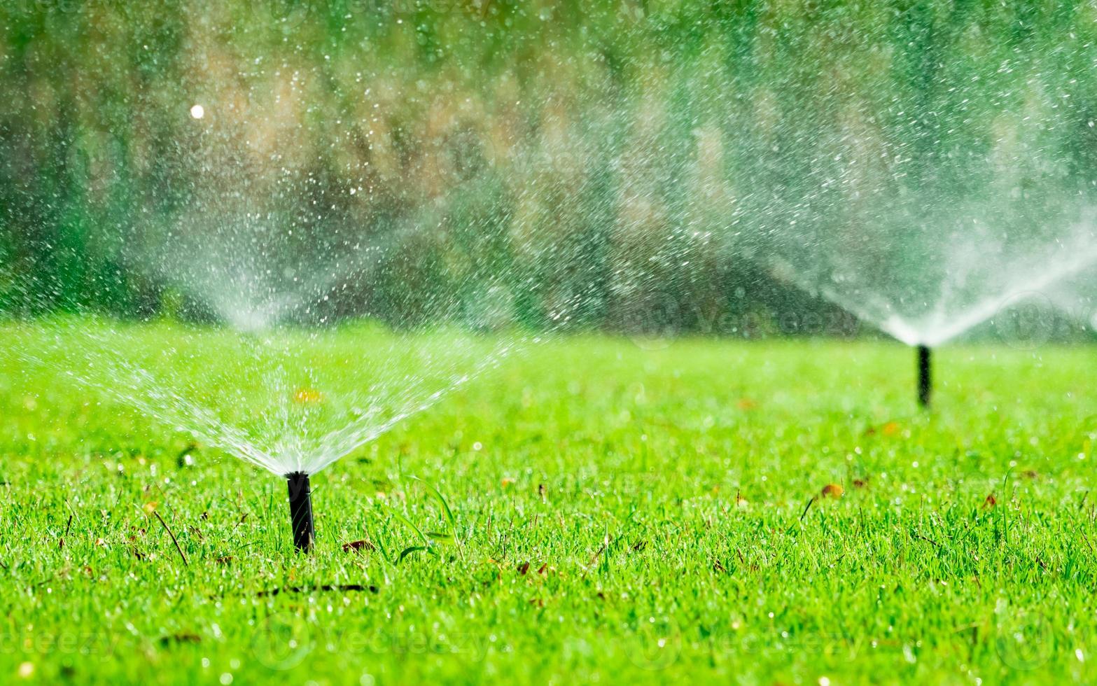 Automatic lawn sprinkler watering green grass. Sprinkler with automatic system. Garden irrigation system watering lawn. Water saving or water conservation from sprinkler system with adjustable head. photo