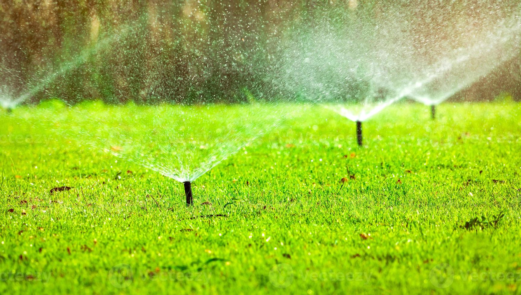 Automatic lawn sprinkler watering green grass. Sprinkler with automatic system. Garden irrigation system watering lawn. Water saving or water conservation from sprinkler system with adjustable head. photo