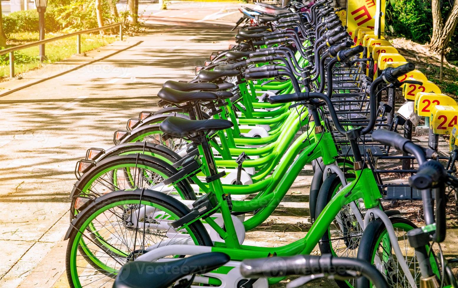 Bicycle sharing systems. Bicycle for rent business. Bicycle for city tour at bike parking station. Eco-friendly transport. Urban economy public transport. Bike station in the park. Healthy lifestyle. photo